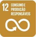 ODS 12