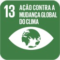 ODS 13
