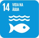 ODS 14